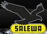 SALEWA Bergsport; Logo bis Juni 2014