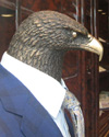 Adler im Anzug bei Sir Anthony in der Kärntnerstraße in Wien. Bild: WEBSCHOOL, 19. Juli 2014