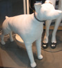 Stoffhund; Schaufenster Vera Moda